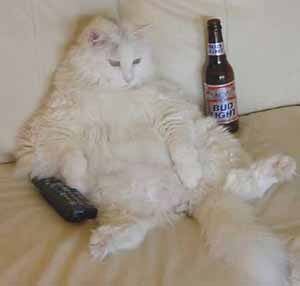OH LA VACHE.....NON C EST UN CHAT!!