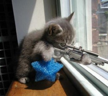 ptdr minou minou